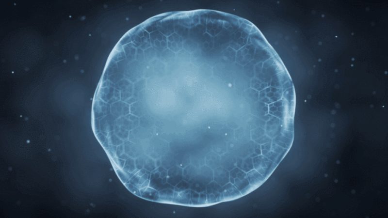 CRS实施流程：揭秘生物科技研发的“幕后功臣