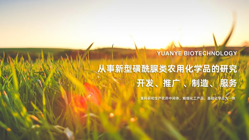 cro优化工具对比评测