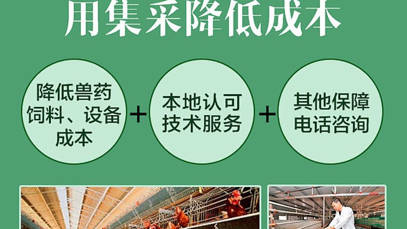 仿制药一致性评价申报资料准备