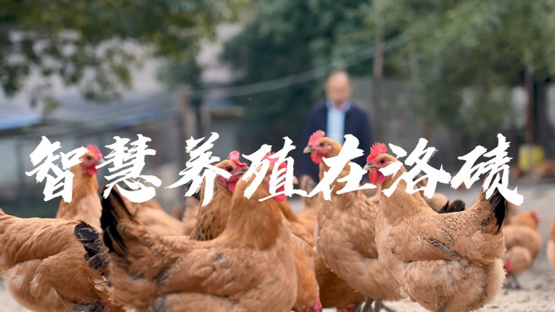 上海小分子CDMO供应商：揭秘定制研发背后的关键要素