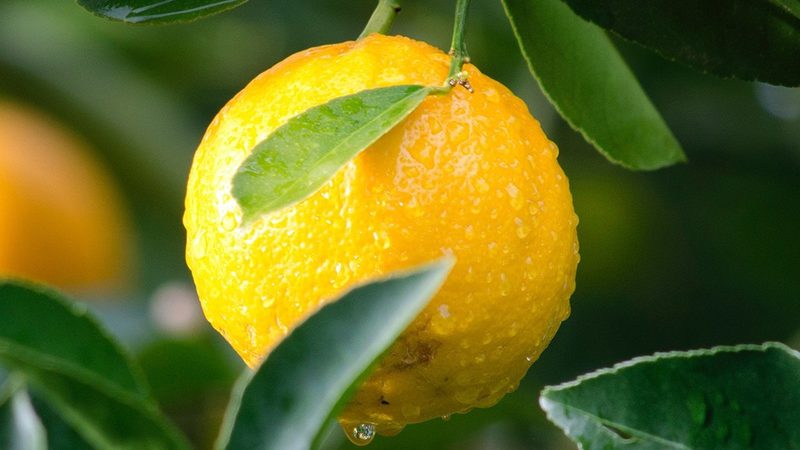 PCR实验室资质办理：流程解析与关键要点