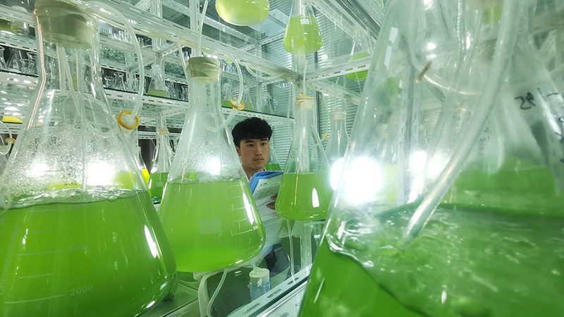 PCR实验室地面材质要求